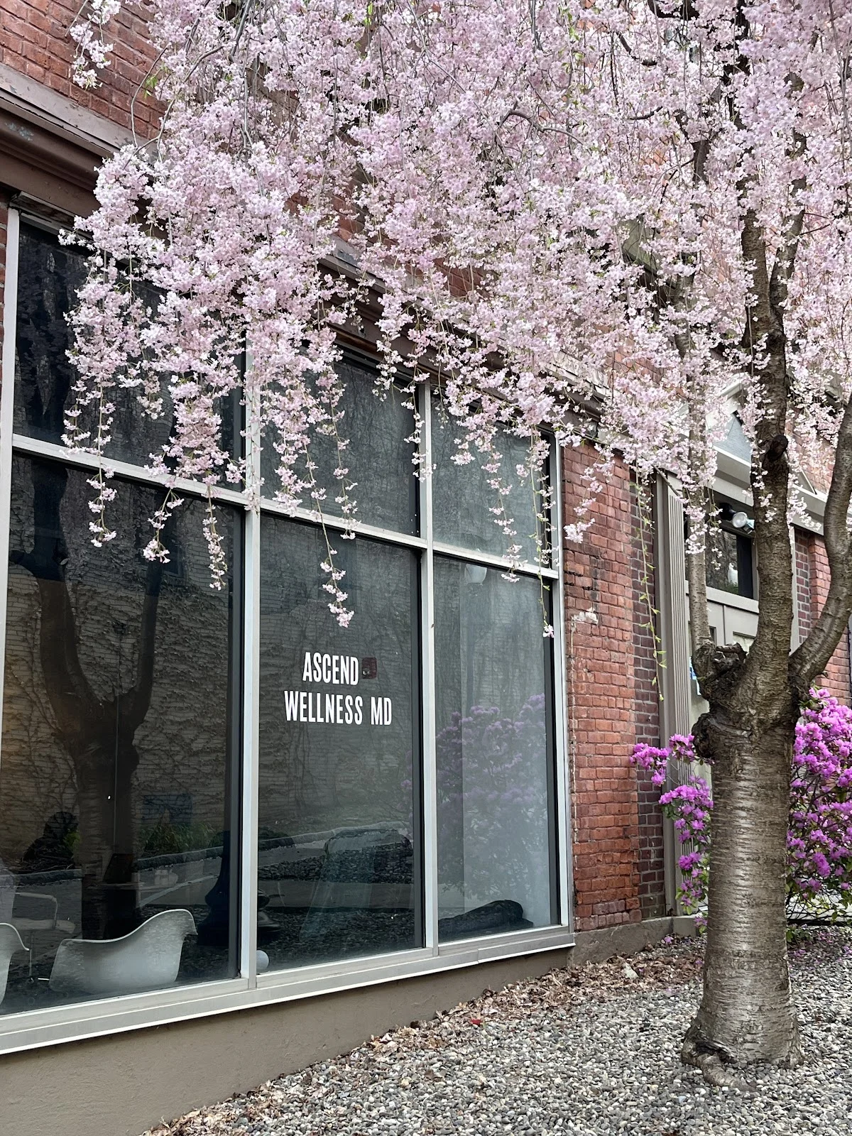 Ascend Wellness MD - Photo 5