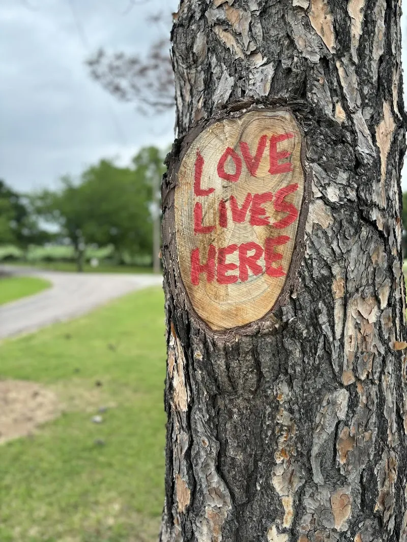 Healing Springs Ranch - Photo 5