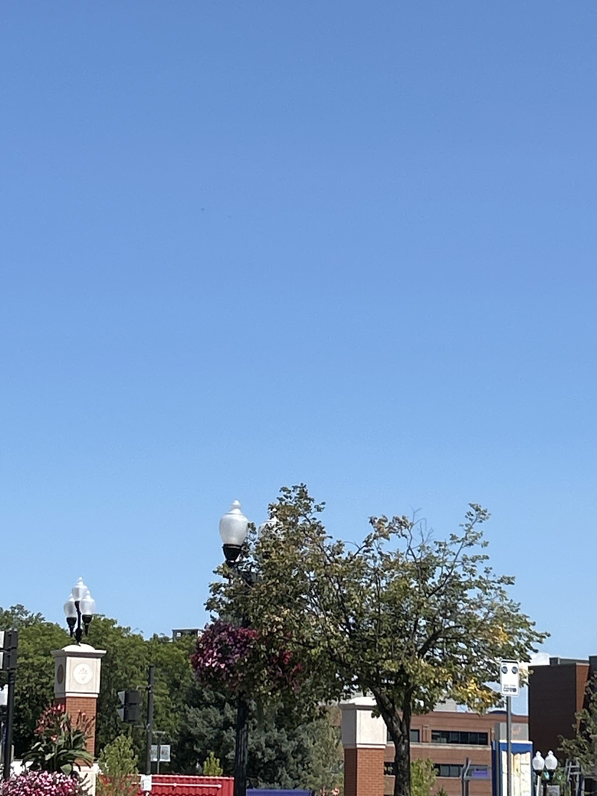 Sunnyview Therapy Services - Photo 2