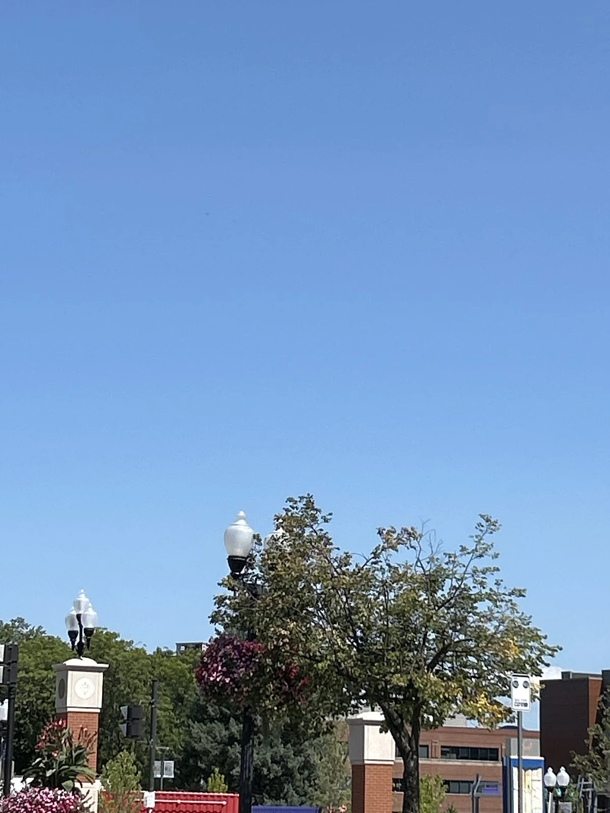 Sunnyview Therapy Services - Photo 1