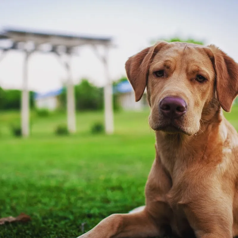 Any Length Retreat Drug & Alcohol R - Photo 4